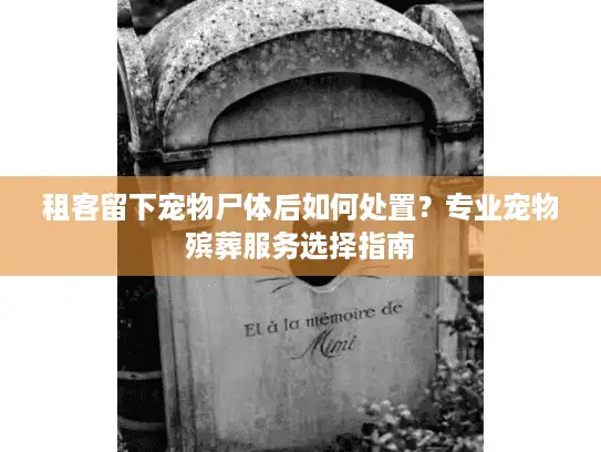 租客留下宠物尸体后如何处置？专业宠物殡葬服务选择指南