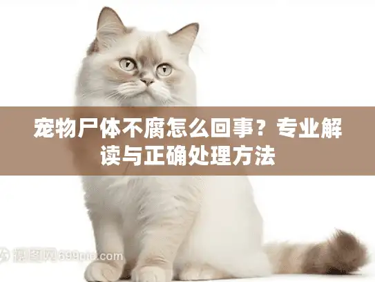 宠物尸体不腐怎么回事？专业解读与正确处理方法
