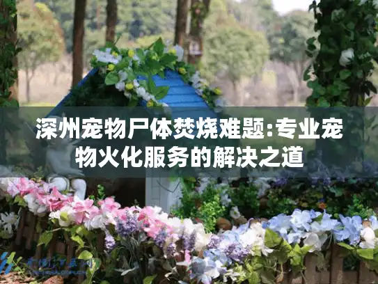 深州宠物尸体焚烧难题:专业宠物火化服务的解决之道