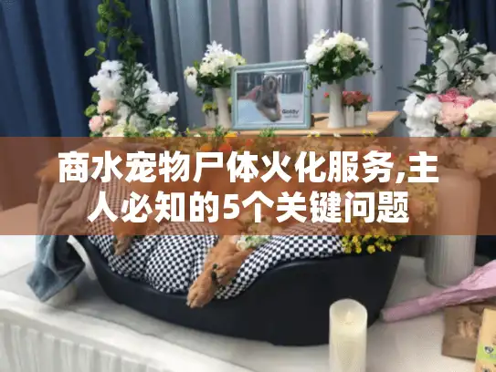 商水宠物尸体火化服务,主人必知的5个关键问题