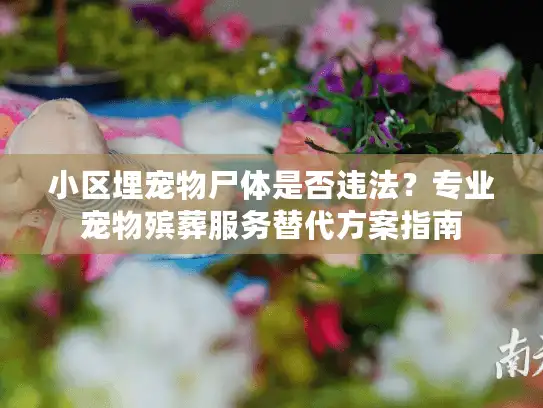 小区埋宠物尸体是否违法？专业宠物殡葬服务替代方案指南