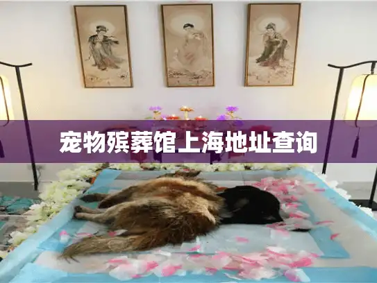 宠物殡葬馆上海地址查询