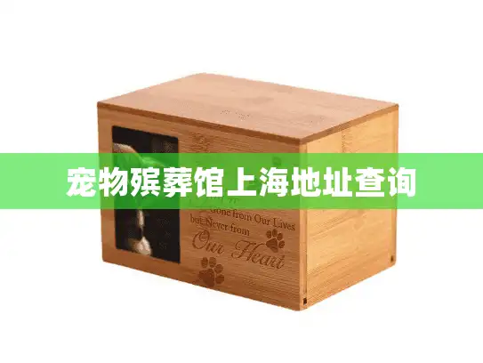 宠物殡葬馆上海地址查询