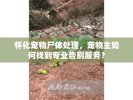 怀化宠物尸体处理，宠物主如何找到专业告别服务？