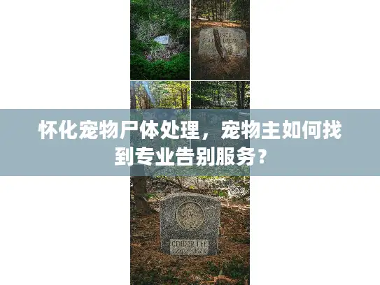 怀化宠物尸体处理，宠物主如何找到专业告别服务？