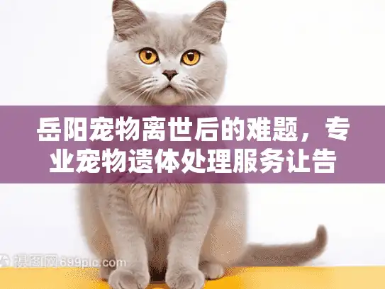 岳阳宠物离世后的难题，专业宠物遗体处理服务让告别更体面