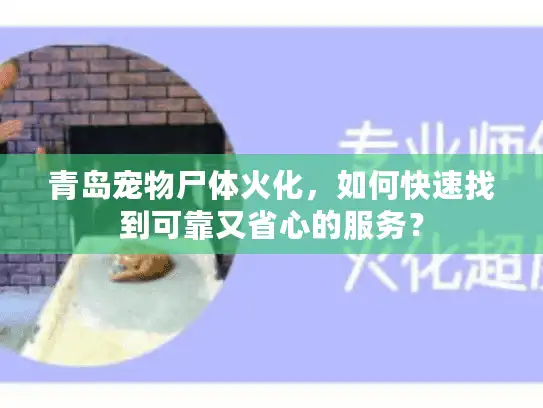 青岛宠物尸体火化，如何快速找到可靠又省心的服务？