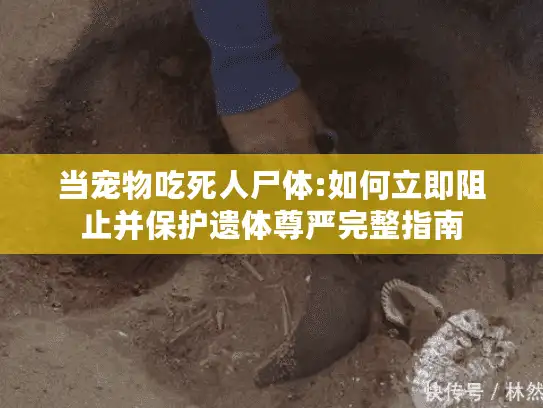 当宠物吃死人尸体:如何立即阻止并保护遗体尊严完整指南