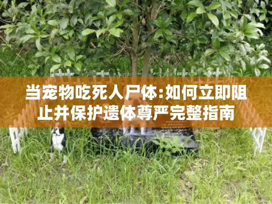 当宠物吃死人尸体:如何立即阻止并保护遗体尊严完整指南