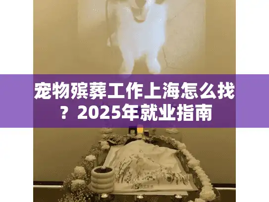 宠物殡葬工作上海怎么找？2025年就业指南