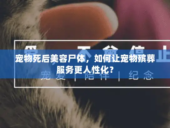 宠物死后美容尸体，如何让宠物殡葬服务更人性化？