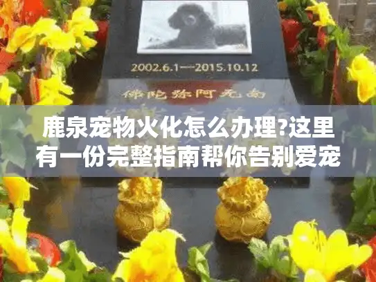 鹿泉宠物火化怎么办理?这里有一份完整指南帮你告别爱宠