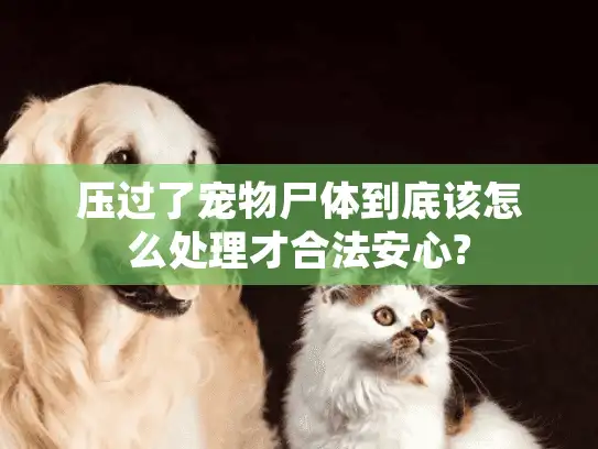 压过了宠物尸体到底该怎么处理才合法安心?