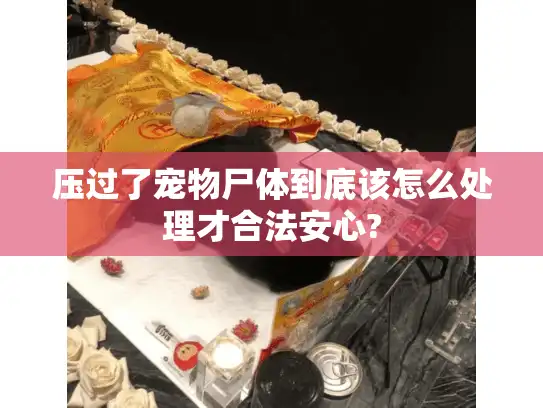 压过了宠物尸体到底该怎么处理才合法安心?