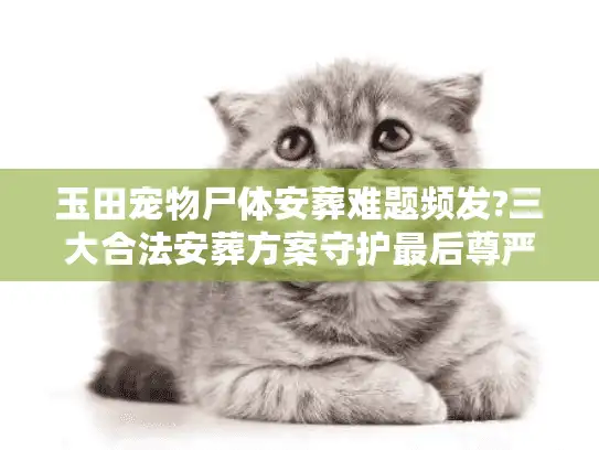 玉田宠物尸体安葬难题频发?三大合法安葬方案守护最后尊严