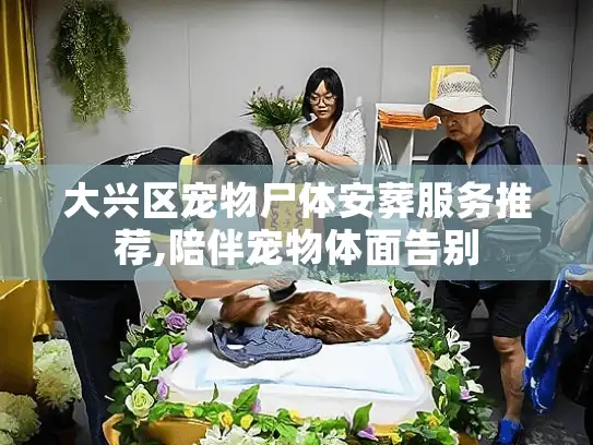大兴区宠物尸体安葬服务推荐,陪伴宠物体面告别