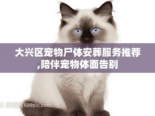 大兴区宠物尸体安葬服务推荐,陪伴宠物体面告别