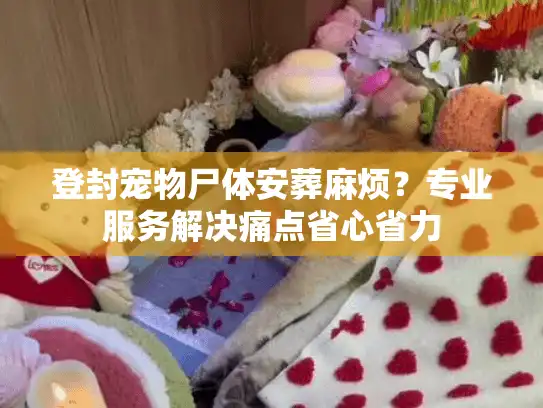 登封宠物尸体安葬麻烦？专业服务解决痛点省心省力
