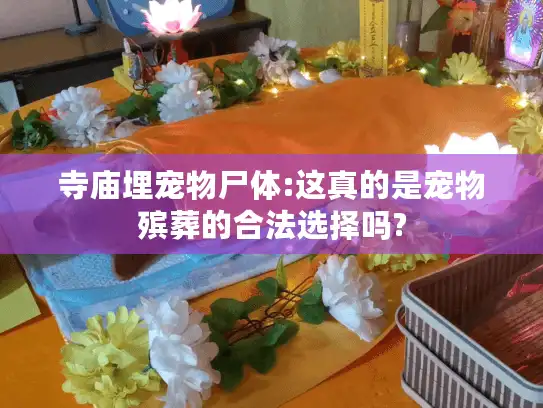 寺庙埋宠物尸体:这真的是宠物殡葬的合法选择吗?