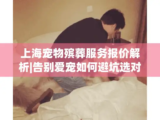 上海宠物殡葬服务报价解析|告别爱宠如何避坑选对服务