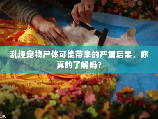 乱埋宠物尸体可能带来的严重后果，你真的了解吗？