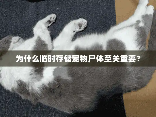 为什么临时存储宠物尸体至关重要？