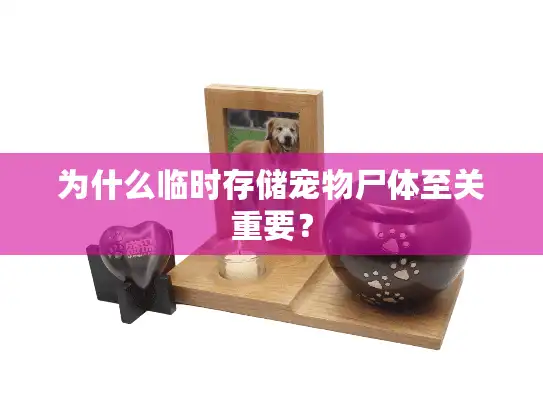 为什么临时存储宠物尸体至关重要？