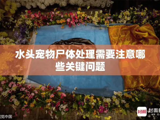 水头宠物尸体处理需要注意哪些关键问题