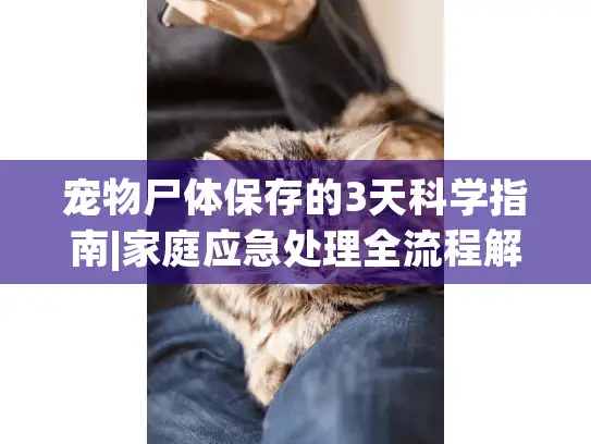 宠物尸体保存的3天科学指南|家庭应急处理全流程解析