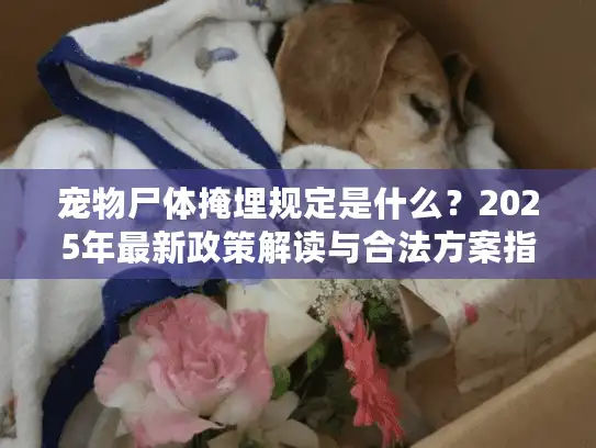 宠物尸体掩埋规定是什么？2025年最新政策解读与合法方案指南
