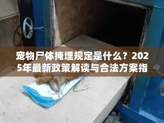 宠物尸体掩埋规定是什么？2025年最新政策解读与合法方案指南