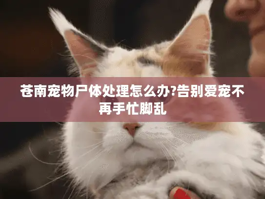 苍南宠物尸体处理怎么办?告别爱宠不再手忙脚乱