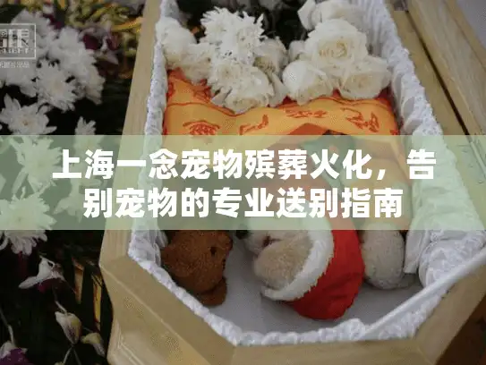 上海一念宠物殡葬火化，告别宠物的专业送别指南