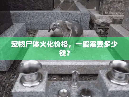 宠物尸体火化价格，一般需要多少钱？