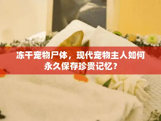 冻干宠物尸体，现代宠物主人如何永久保存珍贵记忆？