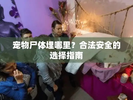 宠物尸体埋哪里？合法安全的选择指南