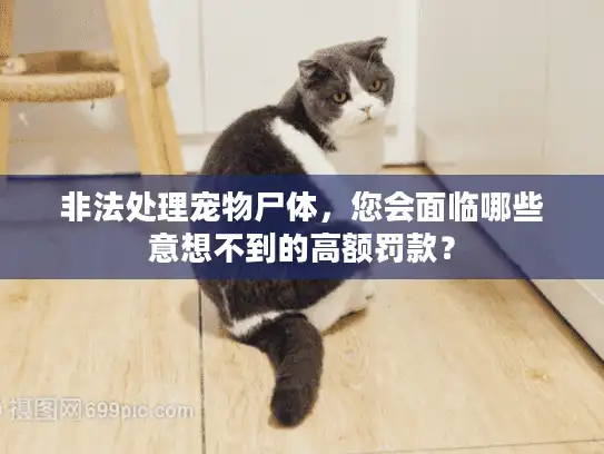 非法处理宠物尸体，您会面临哪些意想不到的高额罚款？