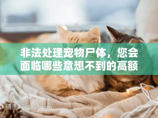 非法处理宠物尸体，您会面临哪些意想不到的高额罚款？