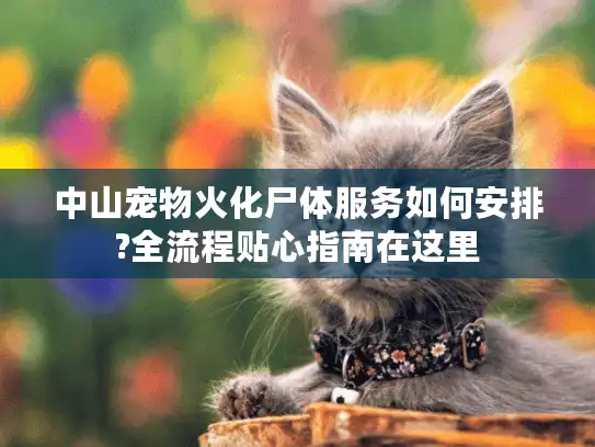 中山宠物火化尸体服务如何安排?全流程贴心指南在这里