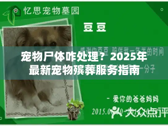 宠物尸体咋处理？2025年最新宠物殡葬服务指南