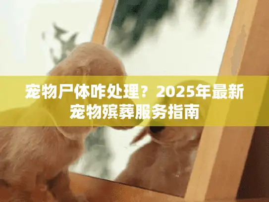 宠物尸体咋处理？2025年最新宠物殡葬服务指南