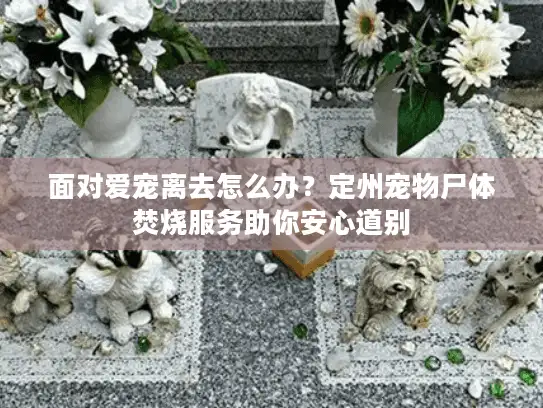 面对爱宠离去怎么办？定州宠物尸体焚烧服务助你安心道别