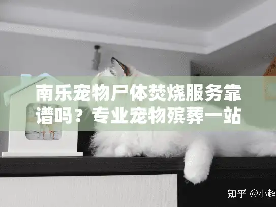 南乐宠物尸体焚烧服务靠谱吗？专业宠物殡葬一站式解决方案