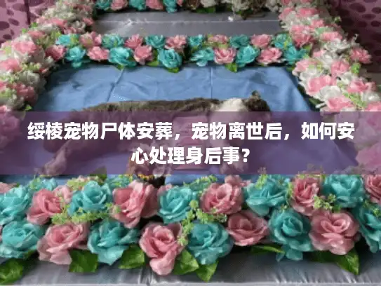绥棱宠物尸体安葬，宠物离世后，如何安心处理身后事？