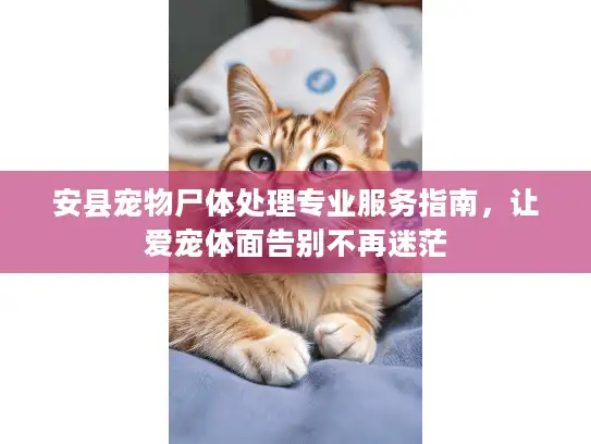 安县宠物尸体处理专业服务指南，让爱宠体面告别不再迷茫