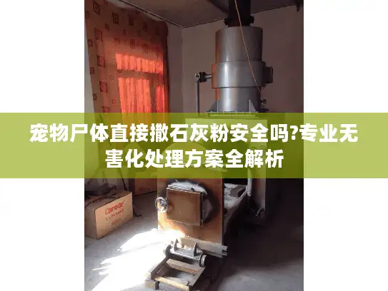 宠物尸体直接撒石灰粉安全吗?专业无害化处理方案全解析