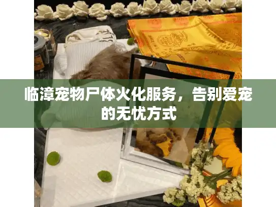 临漳宠物尸体火化服务，告别爱宠的无忧方式