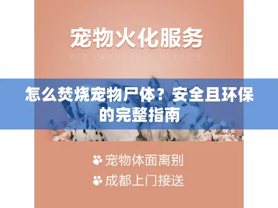 怎么焚烧宠物尸体？安全且环保的完整指南