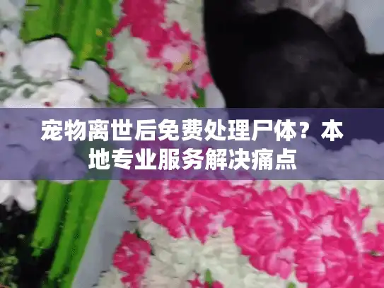 宠物离世后免费处理尸体？本地专业服务解决痛点