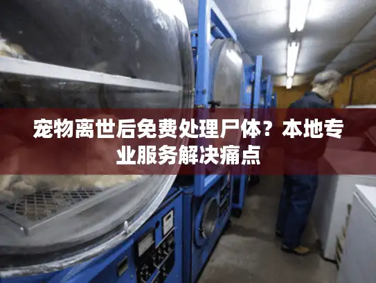 宠物离世后免费处理尸体？本地专业服务解决痛点